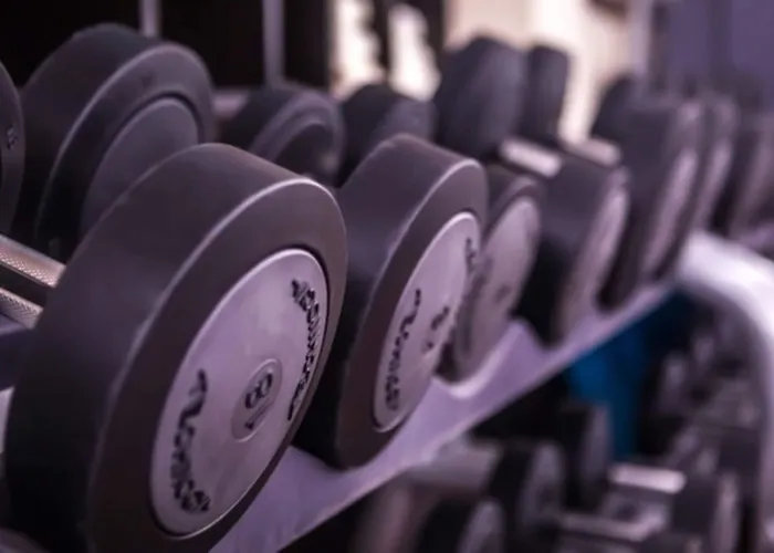 レ ジャルダン デュ マレ ホテル パリ